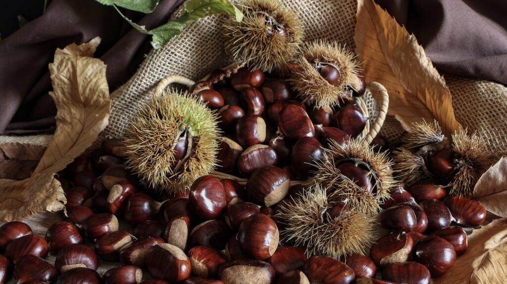 brown nut lot