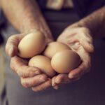 Organic Eggs