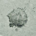Stain on concrete flooring