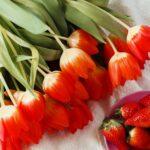 découvrez notre délicieuse gamme de coulis de fruits, parfaite pour agrémenter vos desserts, vos crêpes ou vos yaourts. profitez de saveurs authentiques et naturelles, idéales pour sublimer vos recettes.