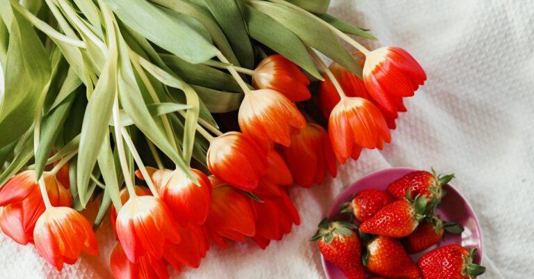 découvrez notre délicieuse gamme de coulis de fruits, parfaite pour agrémenter vos desserts, vos crêpes ou vos yaourts. profitez de saveurs authentiques et naturelles, idéales pour sublimer vos recettes.