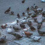 découvrez l'importance des breadcrumbs dans la navigation web. améliorez l'expérience utilisateur et le référencement de votre site grâce à une structuration claire et intuitive des chemins de navigation.