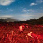 découvrez la recette traditionnelle du beurre blanc, une sauce savoureuse et crémeuse à base de beurre, de vin blanc et d'échalotes. parfaite pour sublimer vos plats de poissons et fruits de mer, elle apportera une touche raffinée à votre gastronomie.