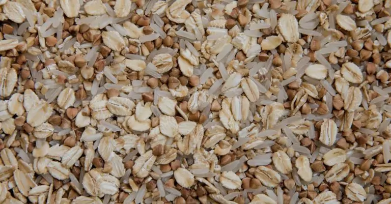 découvrez la délicieuse galette de sarrasin, une spécialité bretonne savoureuse et saine. idéale pour une crêpe salée ou sucrée, elle ravira vos papilles avec sa texture unique et son goût irrésistible. recette facile à réaliser pour un repas convivial !