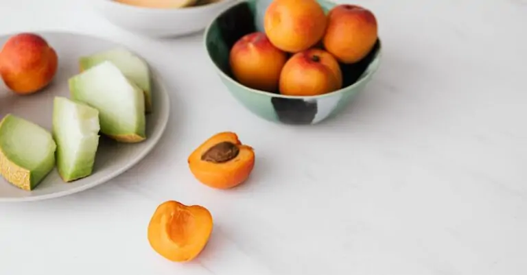 découvrez notre délicieuse compote d'abricots, un dessert fruité et savoureux fait maison, parfait pour accompagner vos repas ou à déguster seul. idéale pour les gourmands et ceux qui recherchent une touche sucrée naturelle !