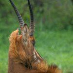 découvrez notre délicieuse collection de sablés faits maison, des biscuits croustillants et fondants, parfaits pour accompagner votre thé ou café. idéals pour toutes les occasions, savourez ces douceurs authentiques aux saveurs variées qui raviront les gourmands.