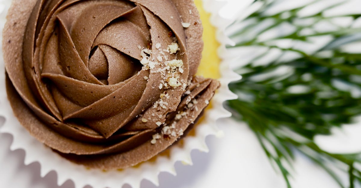 découvrez notre délicieux gâteau au chocolat, moelleux et riche en saveurs ! parfait pour les amateurs de chocolat, ce dessert irrésistible saura satisfaire vos envies sucrées. idéal pour toutes les occasions, il est facile à préparer et fera le bonheur de vos invités.