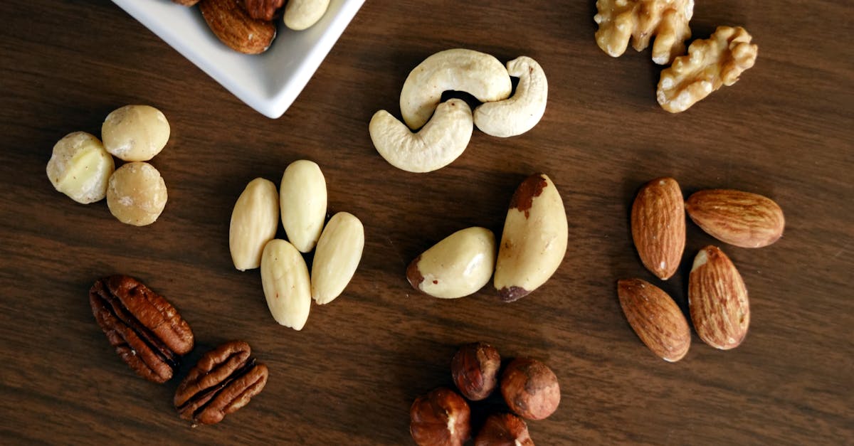 découvrez l'univers des noisettes, ces délicieuses noix aux multiples bienfaits. apprenez tout sur leurs saveurs, leurs utilisations en cuisine et leurs vertus nutritionnelles.