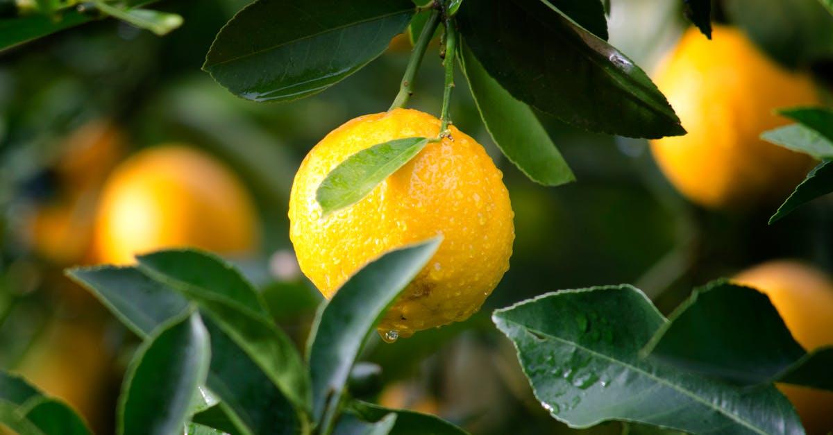 découvrez tous les bienfaits du citron : riche en vitamines, il booste votre système immunitaire, fraîche vos recettes et apporte une touche acidulée à vos plats. apprenez comment l'intégrer dans votre quotidien.