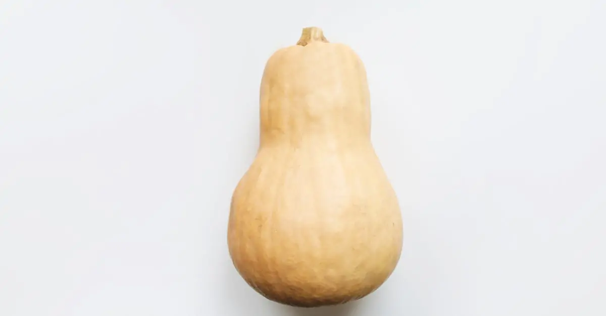 découvrez notre purée de citrouille veloutée, idéale pour vos recettes de saison. que ce soit pour des tartes, des soupes ou des plats savoureux, notre purée de qualité supérieure apporte une touche gourmande et naturelle à tous vos plats.
