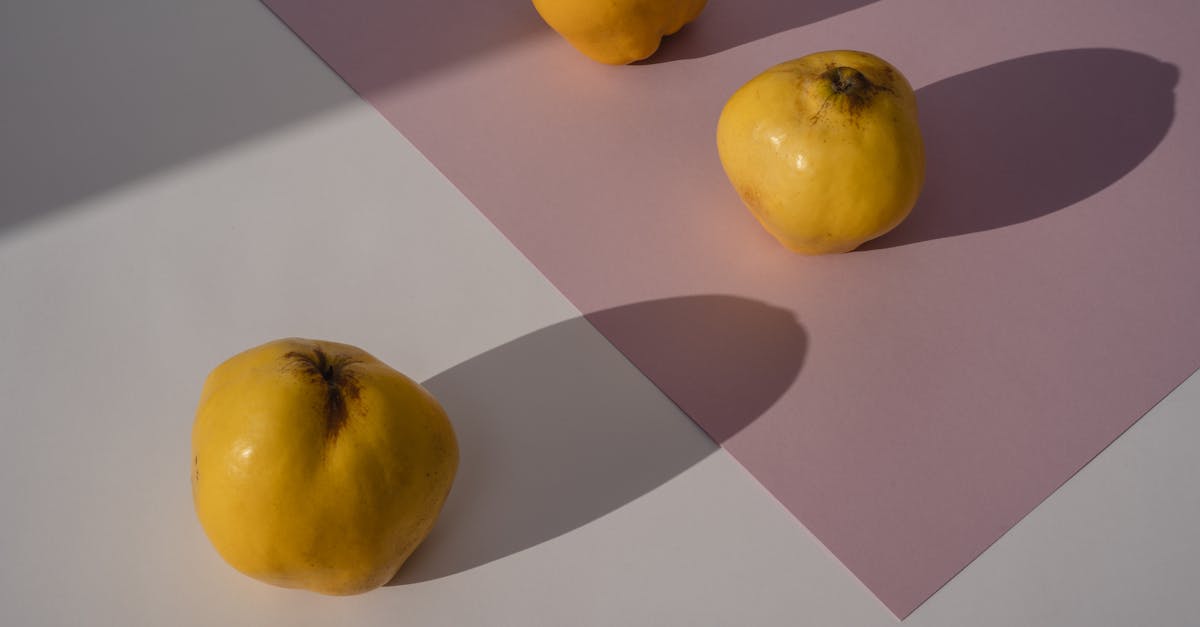 découvrez le coing, un fruit savoureux aux multiples bienfaits, parfait pour vos recettes sucrées et salées. apprenez tout sur son histoire, sa culture et ses délicieuses utilisations en cuisine.