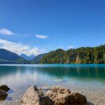 découvrez le monde fascinant des almond rocks, une délicieuse fusion de saveurs et de textures. explorez notre sélection de recettes innovantes, d'astuces de cuisine et de conseils pour intégrer les amandes dans vos plats. parfait pour les gourmets en quête d'inspiration!