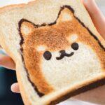 découvrez notre recette d'omelette cuite au four, simple et savoureuse. parfaite pour le petit-déjeuner ou un brunch, cette omelette moelleuse est garnie d'ingrédients frais, idéale pour régaler toute la famille. facile à préparer, elle est riche en saveurs et en couleurs !