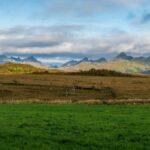 découvrez l'univers des cocktails nordiques, où la fraîcheur des ingrédients locaux se mêle à des recettes innovantes. explorez des saveurs inspirées des paysages scandinaves et apprenez à élaborer des boissons uniques qui raviront vos papilles.