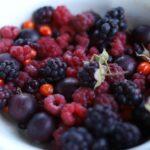 découvrez l'arôme intense et les bienfaits santé de la cassis. ce petit fruit noir, riche en antioxydants, séduit par son goût unique et ses nombreuses utilisations en cuisine, en pâtisserie et en boissons. apprenez tout sur le cassis et son intégration dans votre alimentation.