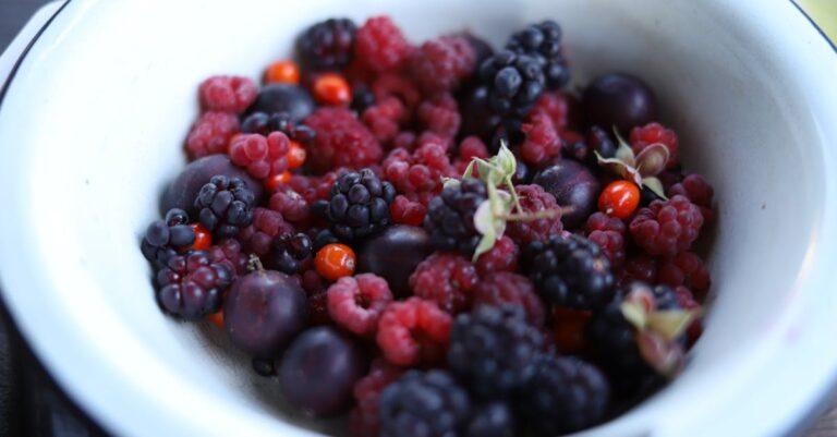 découvrez l'arôme intense et les bienfaits santé de la cassis. ce petit fruit noir, riche en antioxydants, séduit par son goût unique et ses nombreuses utilisations en cuisine, en pâtisserie et en boissons. apprenez tout sur le cassis et son intégration dans votre alimentation.