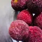 découvrez notre délicieuse tarte aux fruits exotiques, un mélange savoureux de mangue, de passion et de noix de coco, le dessert parfait pour éveiller vos papilles et apporter une touche tropicale à vos repas. succombez à la fraîcheur et à l'originalité de cette recette irrésistible!