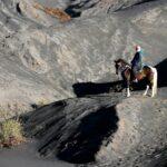 découvrez le sorrel, une plante aromatique au goût acidulé et rafraîchissant. utilisée en cuisine pour rehausser vos plats ou en infusion pour ses bienfaits santé, le sorrel est un ingrédient polyvalent à explorer. apprenez comment l'intégrer dans vos recettes et profitez de ses saveurs uniques.