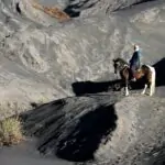 découvrez le sorrel, une plante aromatique au goût acidulé et rafraîchissant. utilisée en cuisine pour rehausser vos plats ou en infusion pour ses bienfaits santé, le sorrel est un ingrédient polyvalent à explorer. apprenez comment l'intégrer dans vos recettes et profitez de ses saveurs uniques.