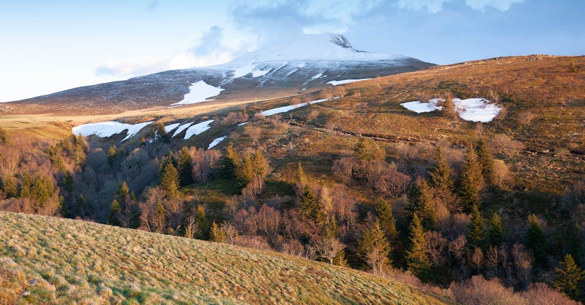découvrez les secrets de l'auvergne à travers notre recette savoureuse de gratin. un plat réconfortant, riche en saveurs et en traditions, parfait pour régaler vos convives avec des ingrédients locaux et authentiques.