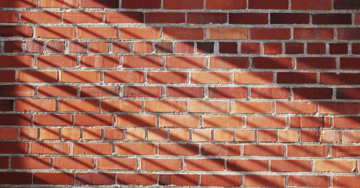 découvrez le monde des briques : un matériau intemporel et polyvalent, idéal pour la construction, la décoration et bien plus encore. apprenez-en davantage sur les différents types de briques, leurs applications et comment les intégrer dans vos projets créatifs.