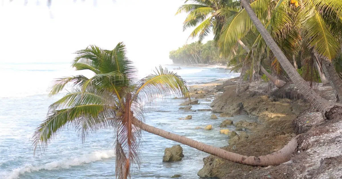 découvrez les coconut rocks, des pierres naturelles aux propriétés uniques et esthétiques. parfaites pour embellir votre jardin ou votre décoration intérieure, ces roches exotiques apportent une touche tropicale à votre espace. explorez leur beauté et leur durabilité dès maintenant!