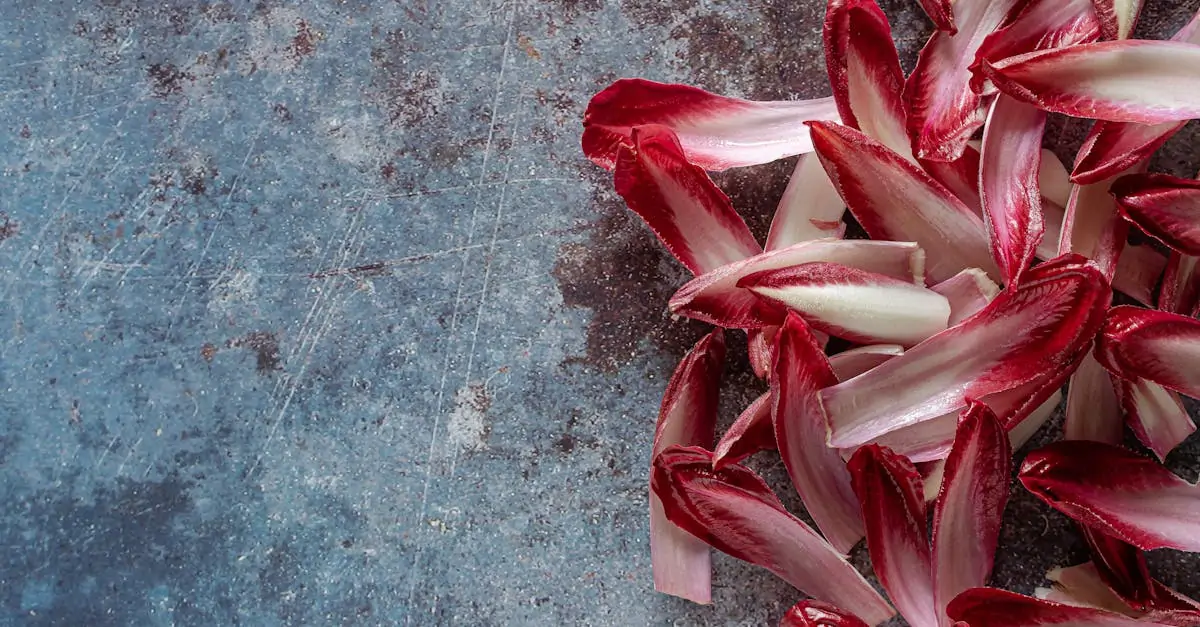 découvrez tout sur les endives : bienfaits pour la santé, recettes délicieuses et astuces de préparation pour profiter pleinement de ce légume croquant et savoureux.