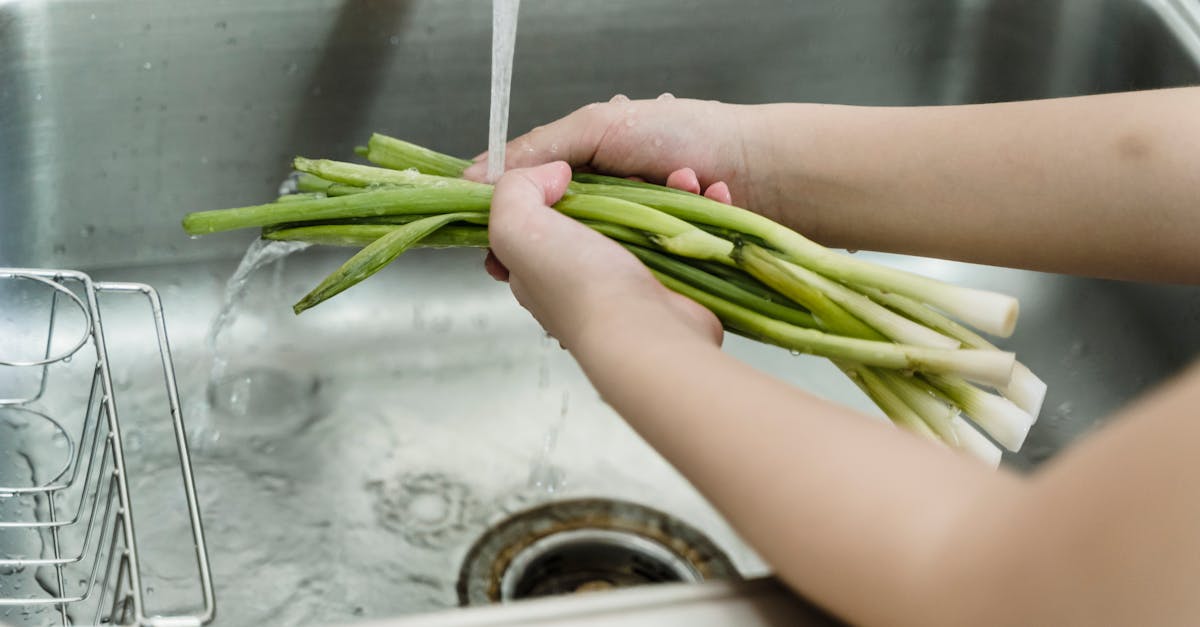 découvrez tout sur les poireaux : leurs bienfaits nutritionnels, des recettes savoureuses et des conseils de culture pour profiter pleinement de ce légume savoureux dans votre cuisine.