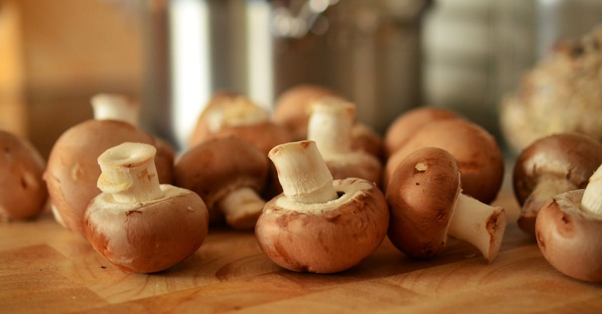 découvrez l'univers fascinant des champignons : leurs variétés, leurs bienfaits pour la santé, des idées de recettes savoureuses, et des conseils pour les identifier et les cueillir en toute sécurité.