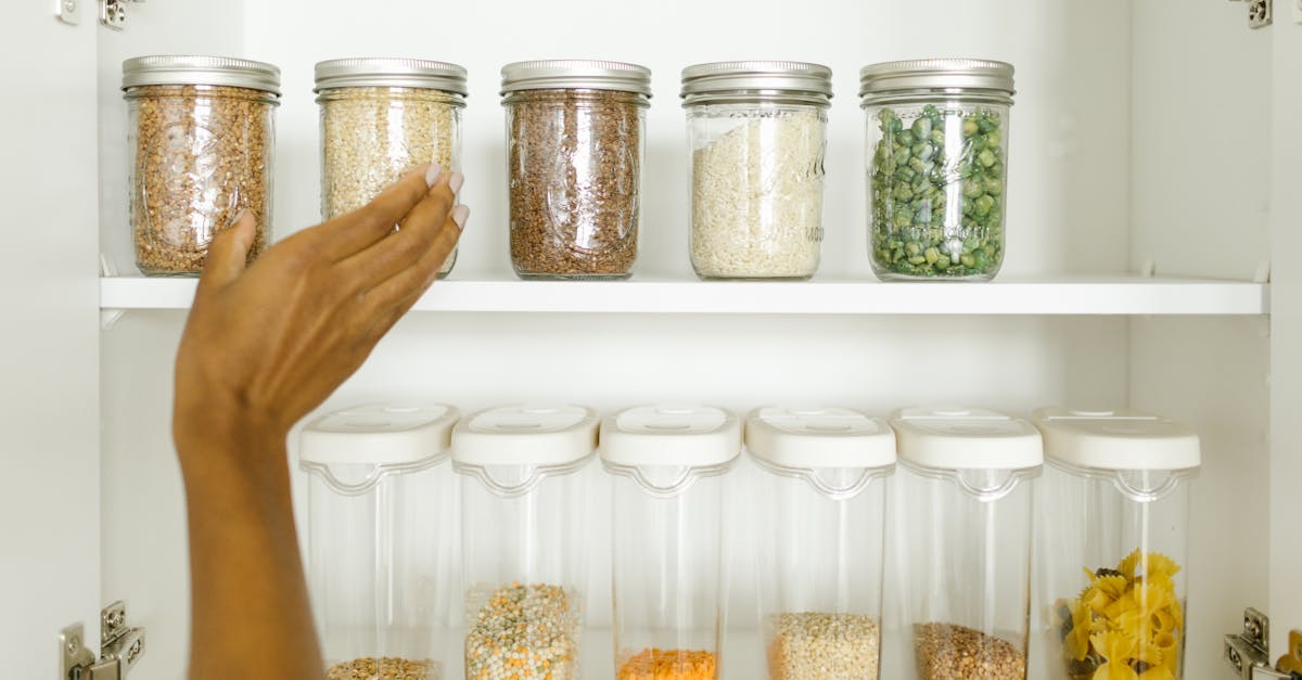 découvrez les bienfaits des petits pois ! riches en nutriments, ils sont parfaits pour une alimentation équilibrée. apprenez comment les intégrer dans vos recettes et profitez de leur saveur douce et de leur texture croquante.