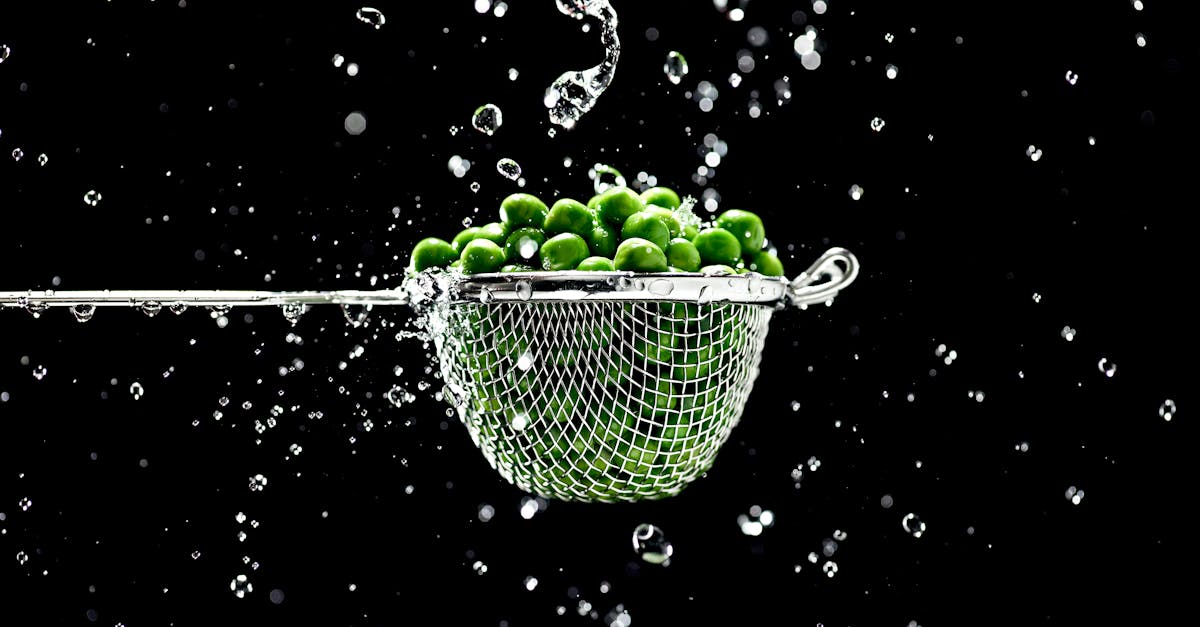 découvrez tout sur les pois - leurs bienfaits nutritionnels, des recettes savoureuses et des astuces pour les cultiver vous-même dans votre jardin. apprenez à les intégrer dans votre alimentation et à profiter de leur richesse en vitamines et minéraux.
