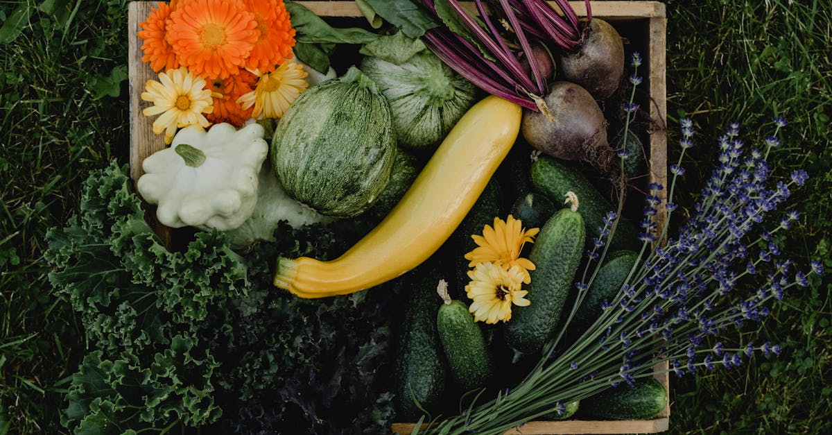 découvrez notre délicieuse recette de gratin de courgettes, un plat savoureux et facile à préparer. parfait pour accompagner vos repas, ce gratin allie la douceur des courgettes à une onctueuse crème et un croustillant irrésistible. idéal pour les amateurs de légumes ou pour ceux qui souhaitent varier leurs repas!