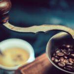 découvrez les fèves de fava, un légume nutritif et délicieux aux multiples bienfaits pour la santé. apprenez à les préparer et à les intégrer dans vos plats pour une cuisine savoureuse et équilibrée.