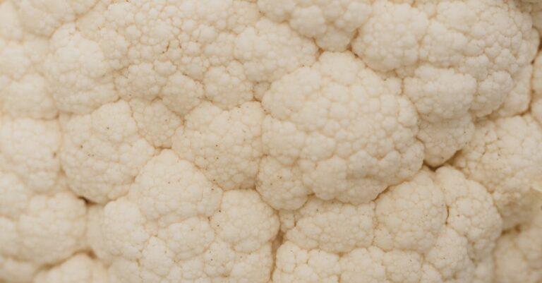 découvrez les bienfaits nutritionnels du chou-fleur, un légume polyvalent riche en vitamines et fibres. explorez des recettes savoureuses, des astuces de préparation et des conseils pour intégrer ce super-aliment dans votre alimentation quotidienne.