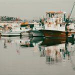 découvrez notre délicieuse recette de fish mousseline, un plat raffiné à base de poisson tendre, parfaitement émulsionné pour une texture onctueuse. idéal pour rehausser vos dîners avec une touche de finesse et de saveurs marines.