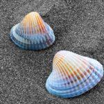 découvrez nos croustades de moules, un savant mélange de saveurs maritimes et de textures croustillantes. parfaites pour vos apéritifs ou en entrée, ces bouchées délicieuses raviront vos invités et sublimeront vos repas!