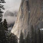 découvrez les effets du gel sur l'environnement et les organismes vivants. apprenez comment la congélation influence la conservation des aliments et explorez les techniques pour minimiser les impacts du gel sur vos cultures.