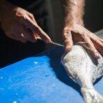 découvrez les techniques de cuisine essentielles pour élever vos compétences culinaires. apprenez à maîtriser la cuisson, la préparation des ingrédients et les astuces de chefs pour réaliser des plats savoureux et raffinés.