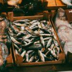 découvrez notre délicieuse recette de ragoût de poisson, un plat savoureux alliant des morceaux de poisson frais, des légumes colorés et des épices aromatiques pour une expérience culinaire réconfortante et pleine de saveurs marines.