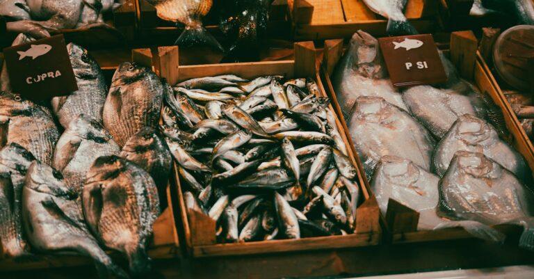 découvrez notre délicieuse recette de ragoût de poisson, un plat savoureux alliant des morceaux de poisson frais, des légumes colorés et des épices aromatiques pour une expérience culinaire réconfortante et pleine de saveurs marines.