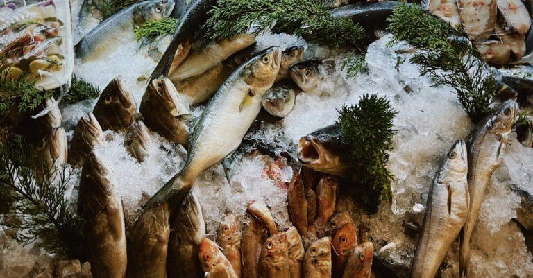 découvrez le bar, un poisson prisé des gourmets pour sa chair délicate et savoureuse. apprenez-en plus sur ses caractéristiques, ses modes de préparation et des recettes délicieuses qui mettent en valeur ce poisson plein de saveurs.