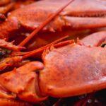 découvrez le monde fascinant du homard : ses caractéristiques, son habitat, ses bienfaits pour la santé et des recettes délicieuses pour savourer ce mets d'exception. plongez dans l'univers de ce crustacé prisé et apprenez à le cuisiner comme un chef.