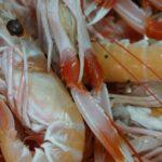 découvrez la langoustine, un fruit de mer délicat et savoureux, prisé pour sa chair tendre et ses arômes marins. apprenez-en plus sur ses qualités culinaires, ses meilleures recettes et comment l'apprécier dans vos plats de fruits de mer.