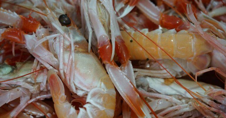 découvrez la langoustine, un fruit de mer délicat et savoureux, prisé pour sa chair tendre et ses arômes marins. apprenez-en plus sur ses qualités culinaires, ses meilleures recettes et comment l'apprécier dans vos plats de fruits de mer.