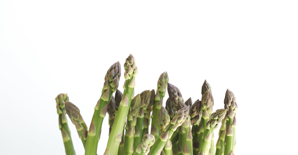 découvrez tout sur les asperges, un légume printanier savoureux et nutritif. explorez ses bienfaits pour la santé, des recettes délicieuses et des conseils de préparation pour profiter pleinement de cette délicatesse.