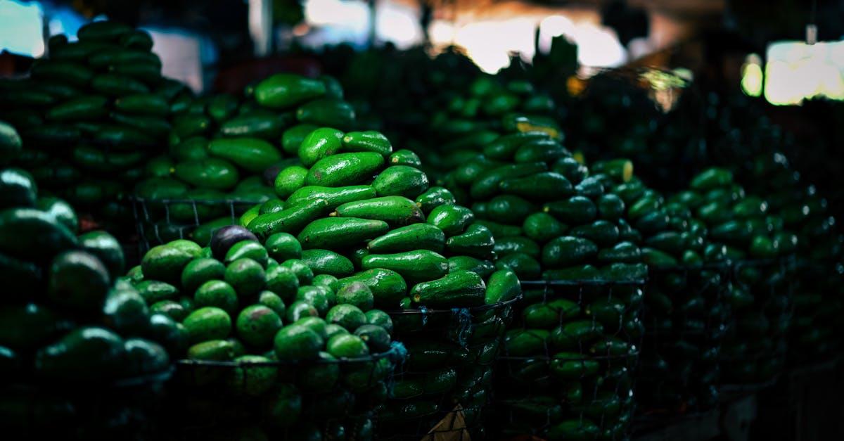 découvrez les bienfaits de l'avocat, ce super-aliment riche en vitamines, minéraux et acides gras essentiels. apprenez des recettes savoureuses et profitez de ses propriétés nutritives pour une alimentation saine et équilibrée.