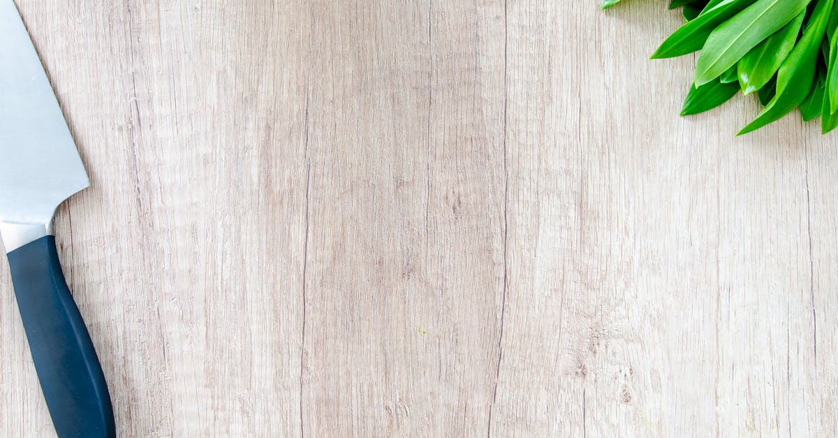 découvrez l'art de la cuisine avec nos recettes savoureuses et nos conseils pratiques. que vous soyez débutant ou chef expérimenté, explorez des techniques de cuisson, des ingrédients inspirants et des astuces pour régaler vos convives. laissez libre cours à votre créativité culinaire!