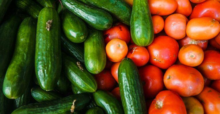 découvrez les bienfaits des concombres, un légume rafraîchissant et nutritif, parfait pour vos salades, smoothies et recettes santé. explorez des idées créatives pour intégrer ce super-aliment dans votre alimentation quotidienne.