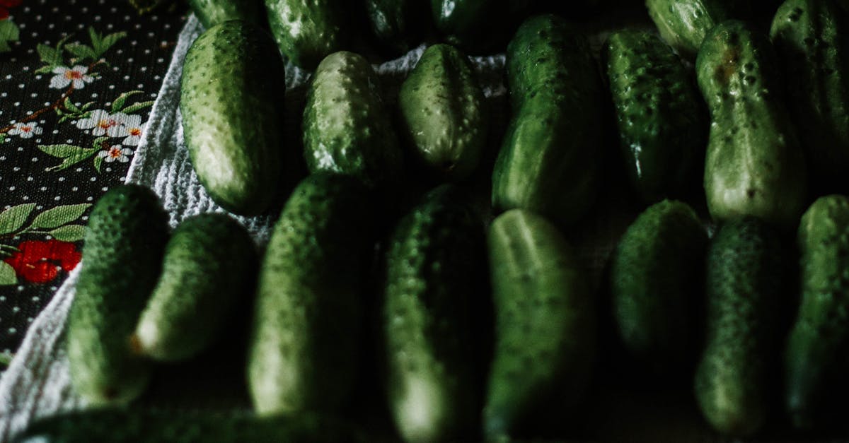 découvrez tout sur les concombres : leurs bienfaits pour la santé, des recettes originales pour les intégrer à vos plats et des astuces de culture pour un jardin florissant. apportez fraîcheur et croquant à votre alimentation avec ces légumes polyvalents !