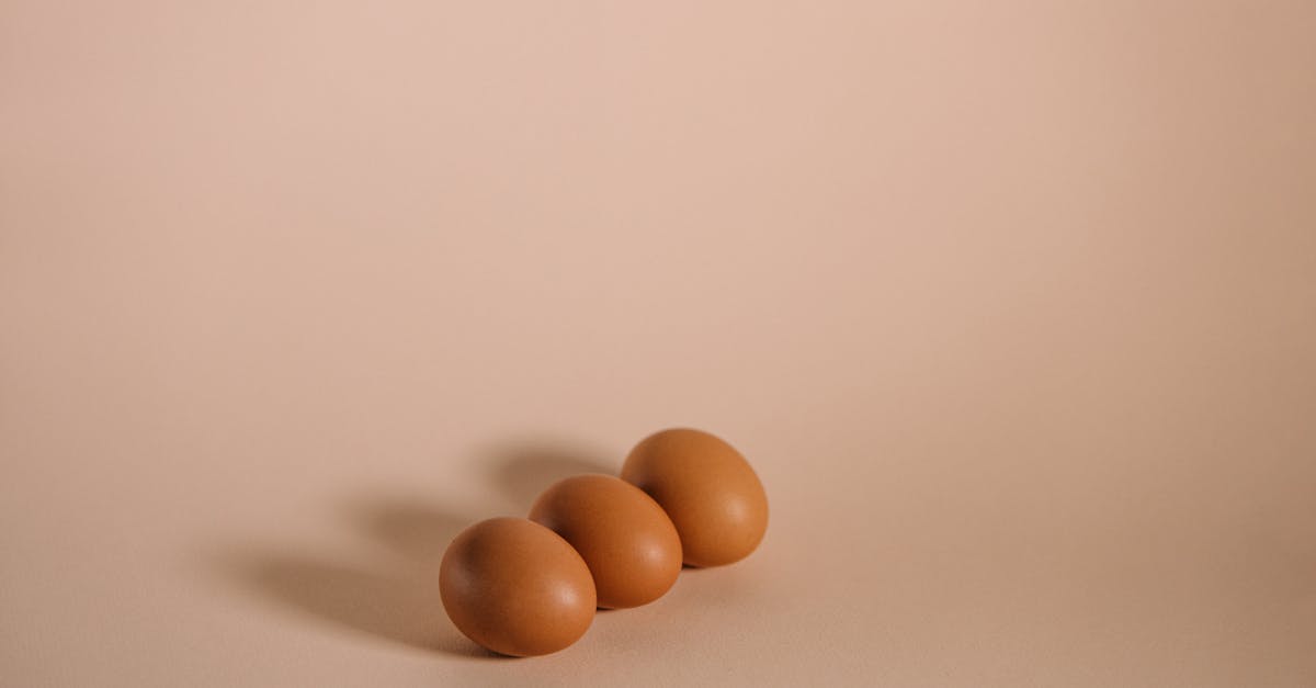 découvrez les bienfaits des blancs d'œufs : riches en protéines, faibles en calories et parfaits pour vos recettes saines. apprenez à les cuisiner et à les intégrer dans votre alimentation quotidienne.
